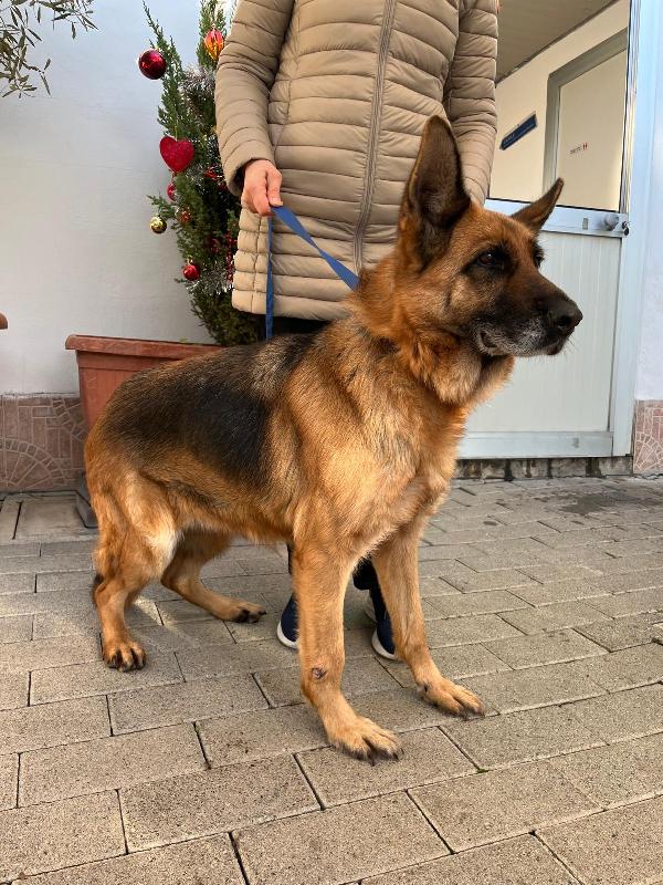 GIANNA PASTORE TEDESCO Foto 4